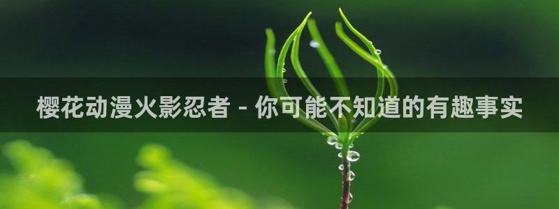 下载omofun：樱花动漫火影忍者 - 你可能不知道的有趣事实