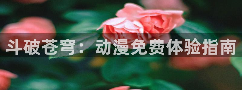 omofun网页版入口：斗破苍穹：动漫免费体验指南