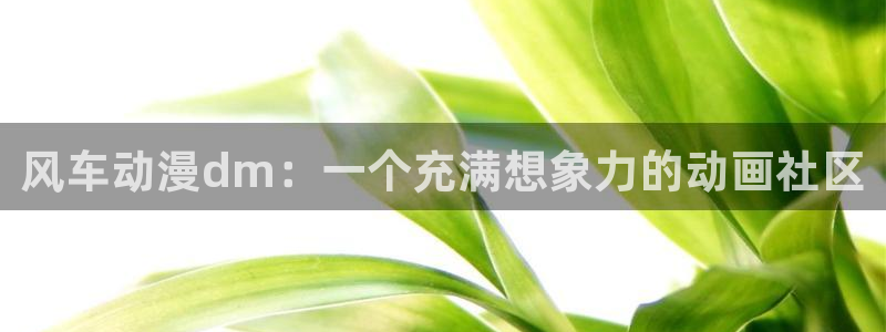 omofunapp官网：风车动漫dm：一个充满想象力的动画社区