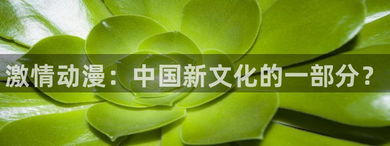 omofun官方版下载：激情动漫：中国新文化的一部分？