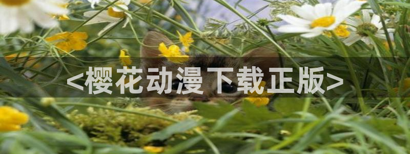 omofun动漫官网下载ios：<樱花动漫下载正版>