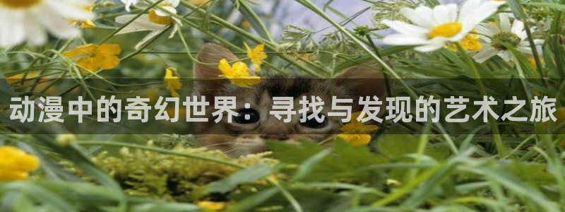 动漫软件omofun：动漫中的奇幻世界：寻找与发现的艺术之旅