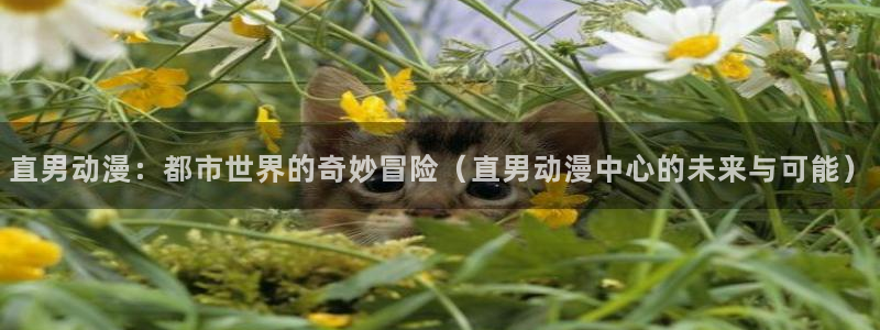 omofun下载方法