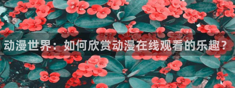 omofun 官网
